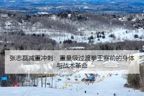 张志磊减重冲刺：重量级过渡拳王赛前的身体与战术革命