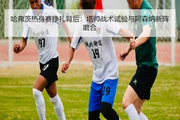 ha-fu-ci-re-shen-sai-zheng-zha-bei-hou-ta-shuai-zhan-shu-shi-yan-yu-a-sen-na-xin-zhen-mo-he-2-269.jpg