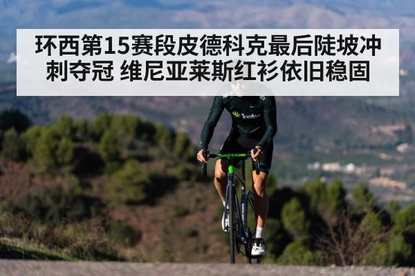 环西第15赛段皮德科克最后陡坡冲刺夺冠 维尼亚莱斯红衫依旧稳固